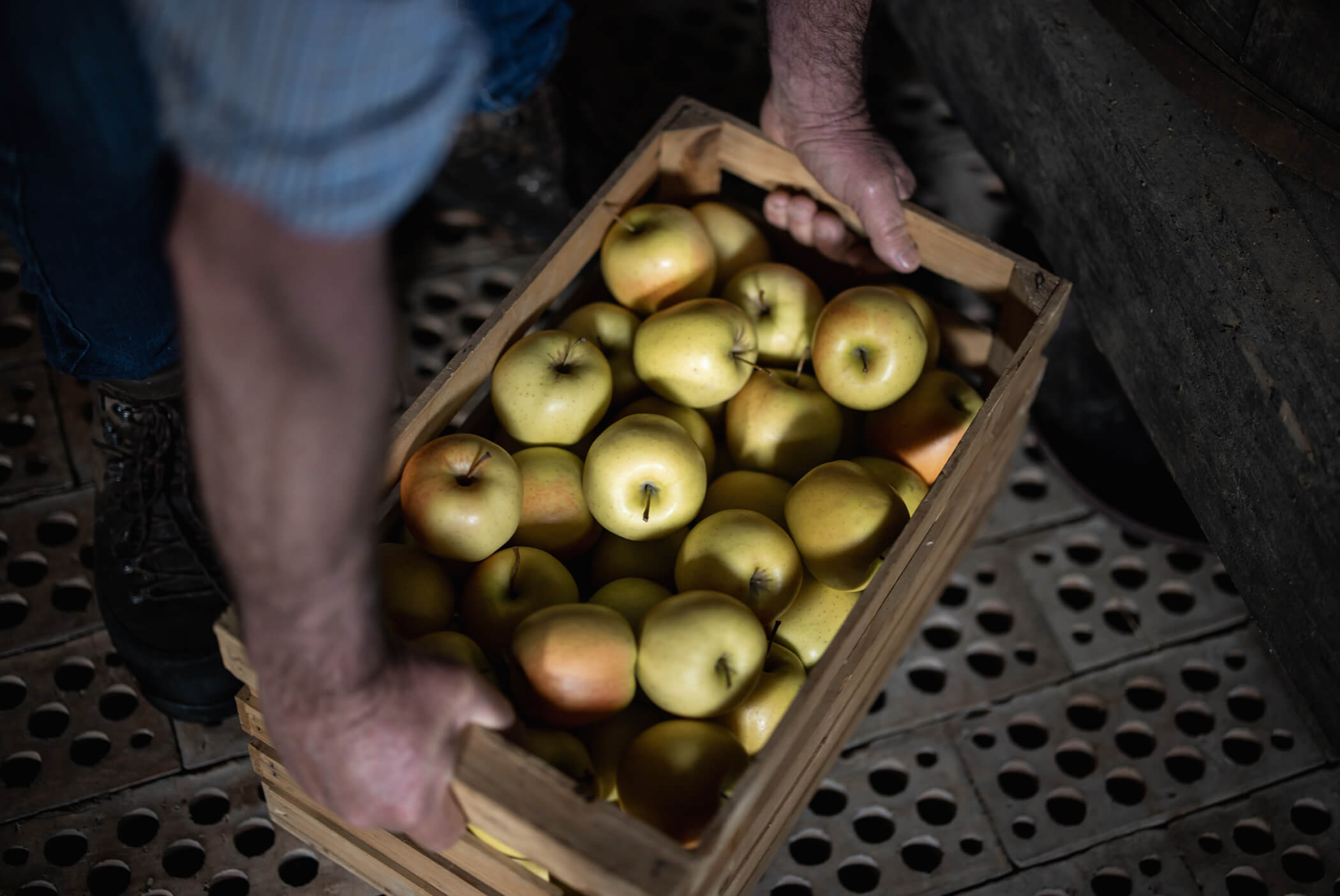 Man holding a box of fresh green apples - Schirmerhof