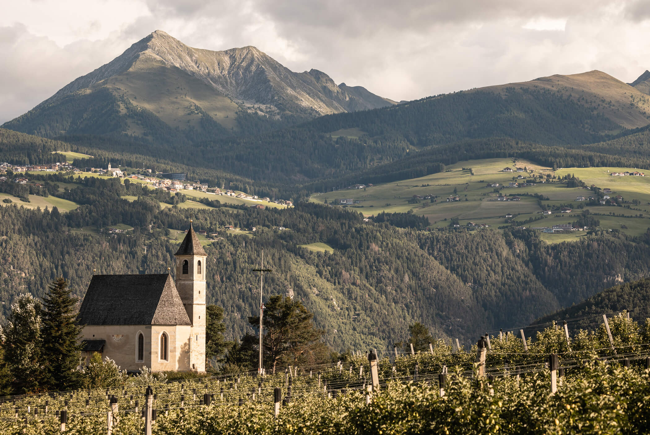 In the foreground an apple orchard, in the background a chapel and a mountain landscape - Schirmerhof