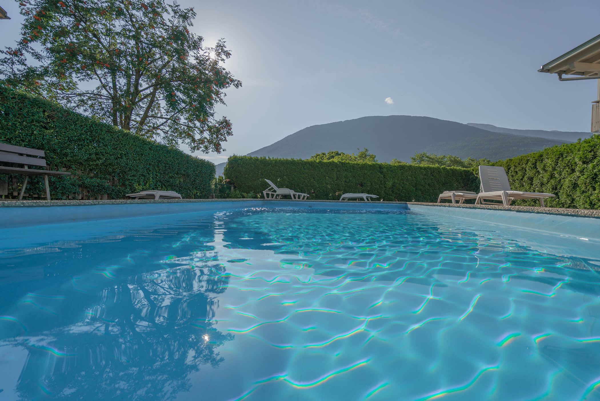 The outdoor pool with sun loungers and views of the mountains and trees - Schirmerhof