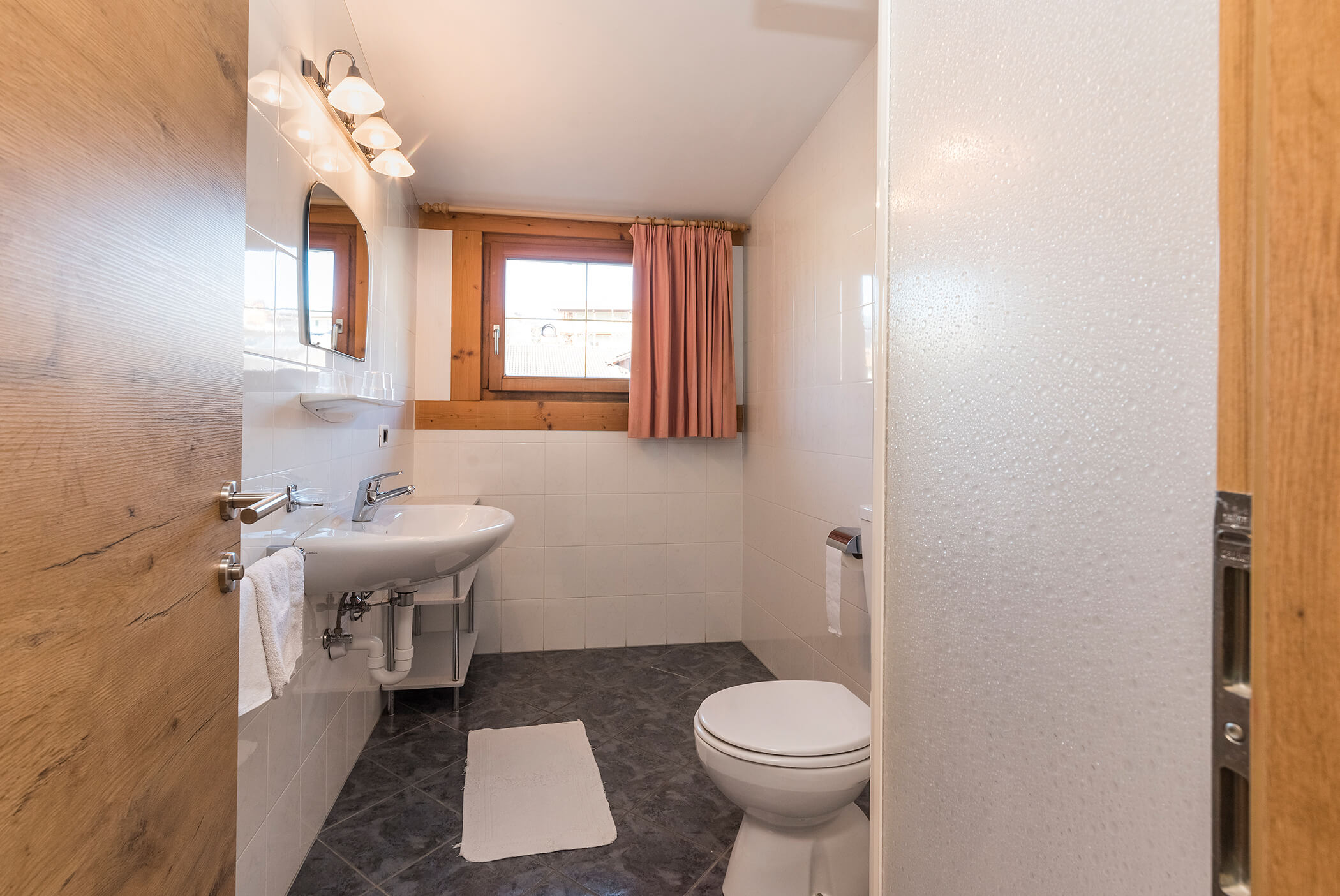 Small bathroom with WC and washbasin - Schirmerhof