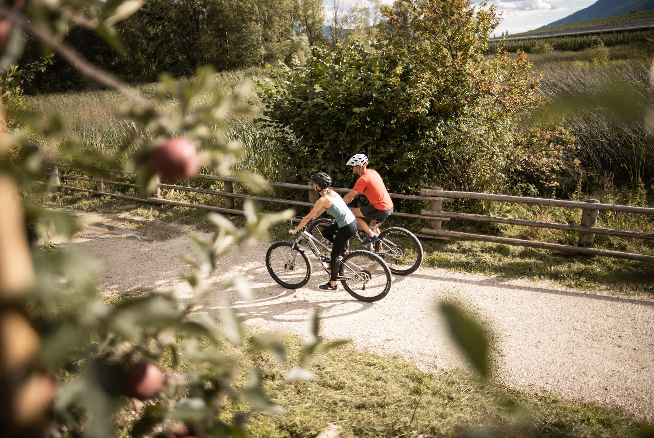 Two cyclists on the cycle path between the apple orchards - Schirmerhof