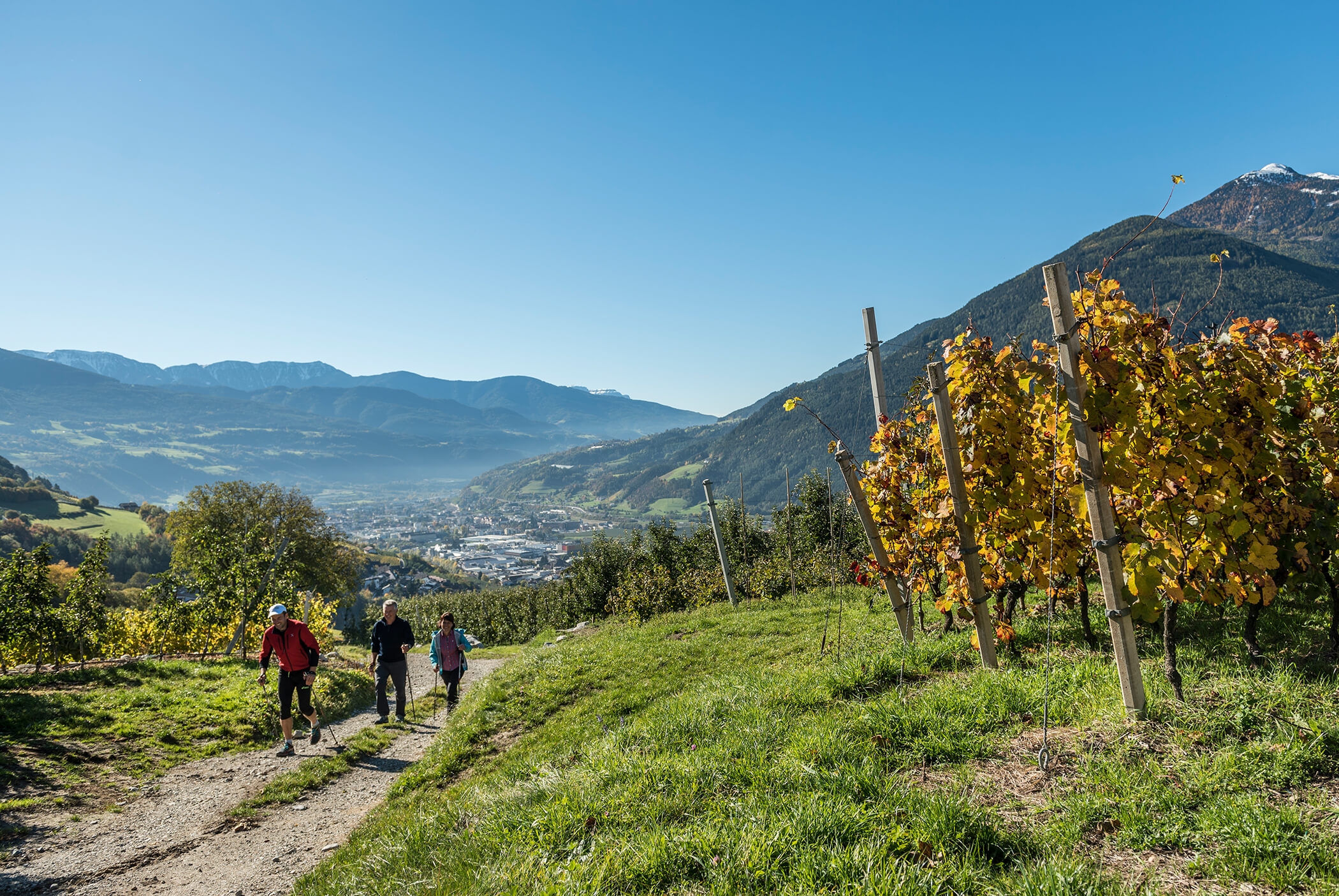 Three hikers on the hiking trail between the apple orchards and a mountain landscape in the background - Schirmerhof