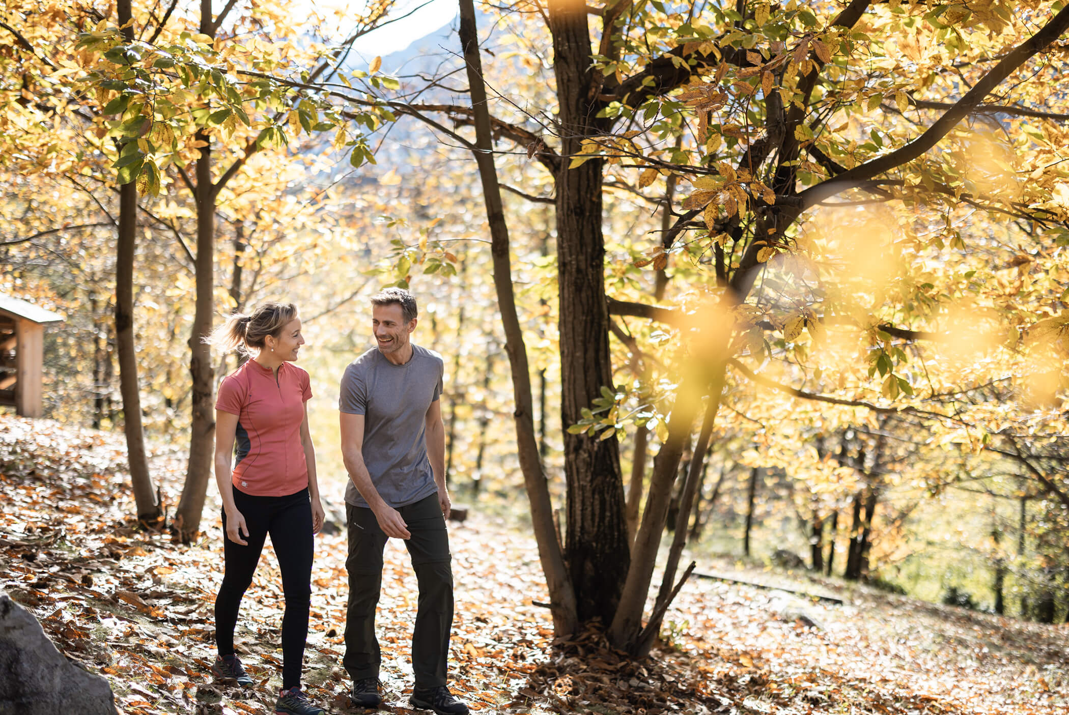 A couple walks through autumnal woods - Schirmerhof